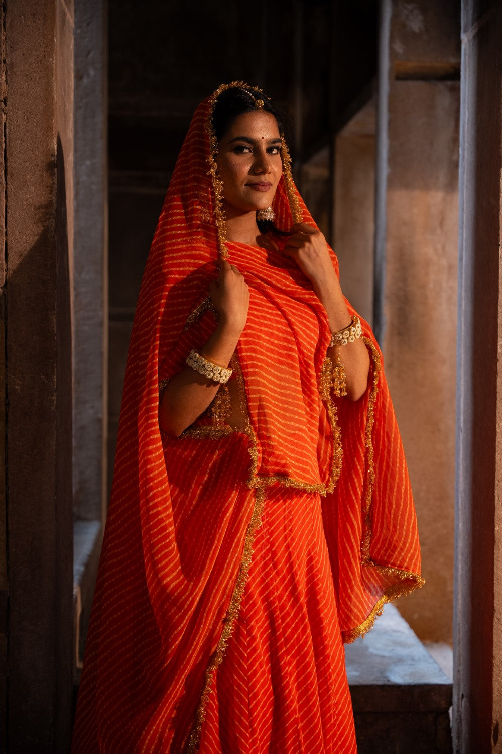 Image of Shri Lehenga Set