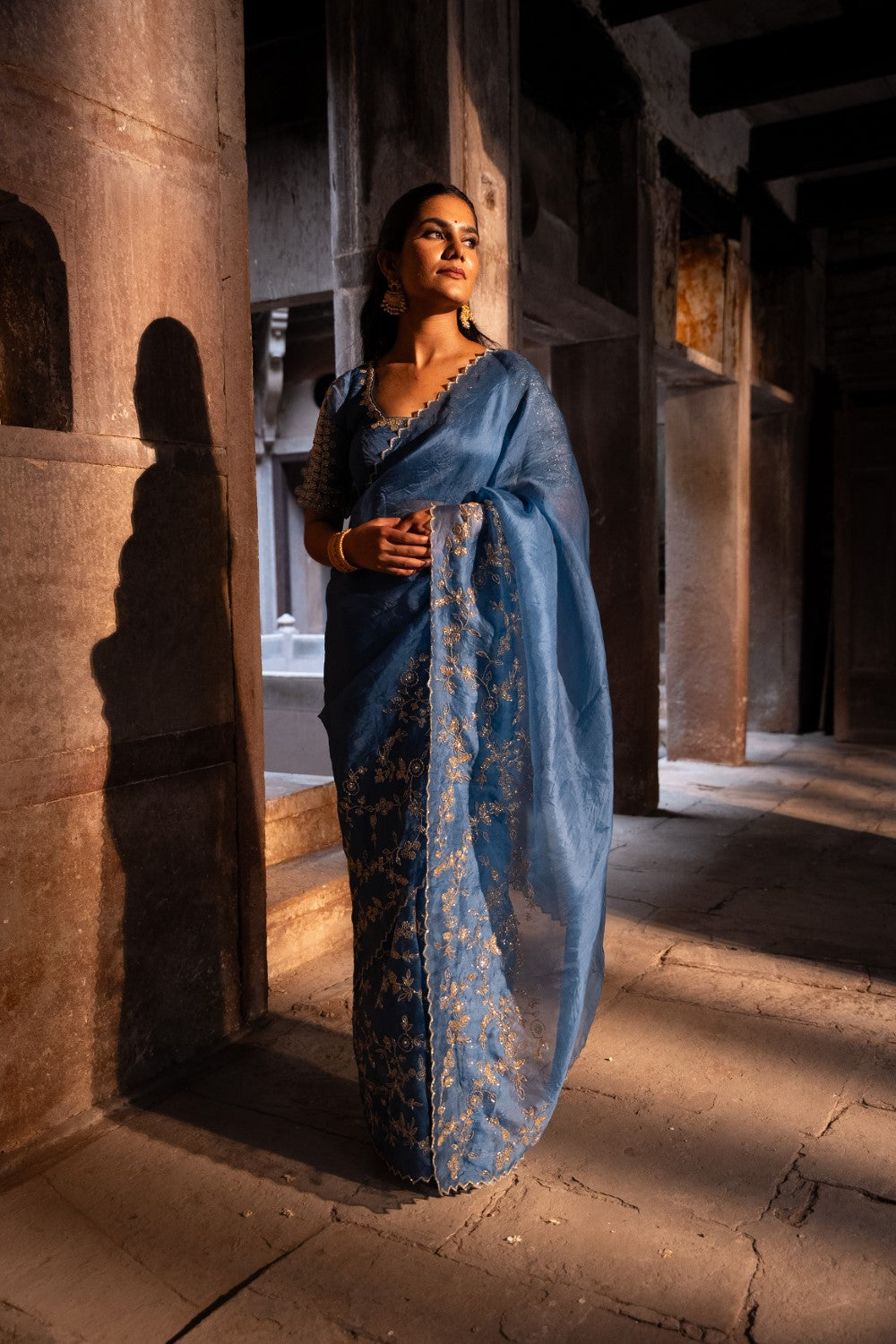 Image of Arohi Blue Saree